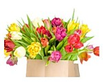 Где купить тюльпаны оптом в Красноярске