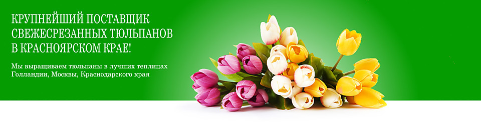 Тюльпаны к 8 марта оптом — отличный бизнес